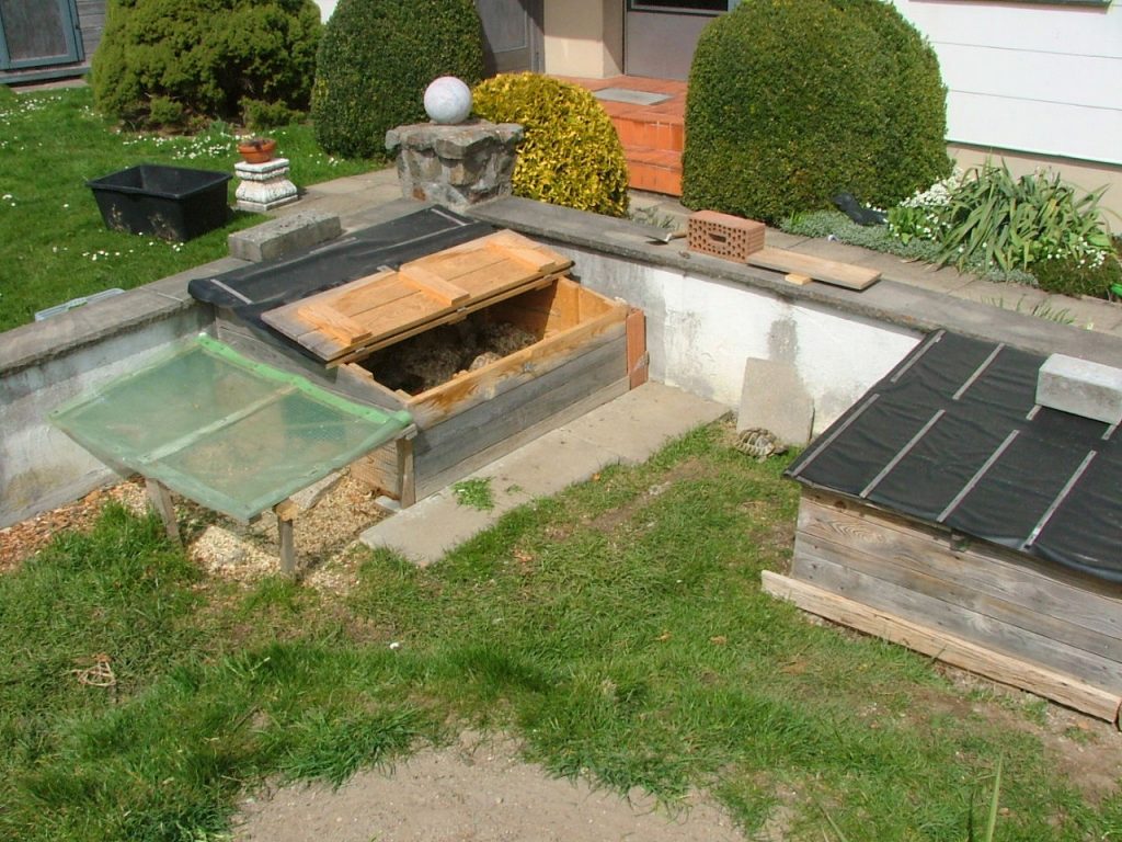 Comment faire un enclos pour tortue d'hermann ?