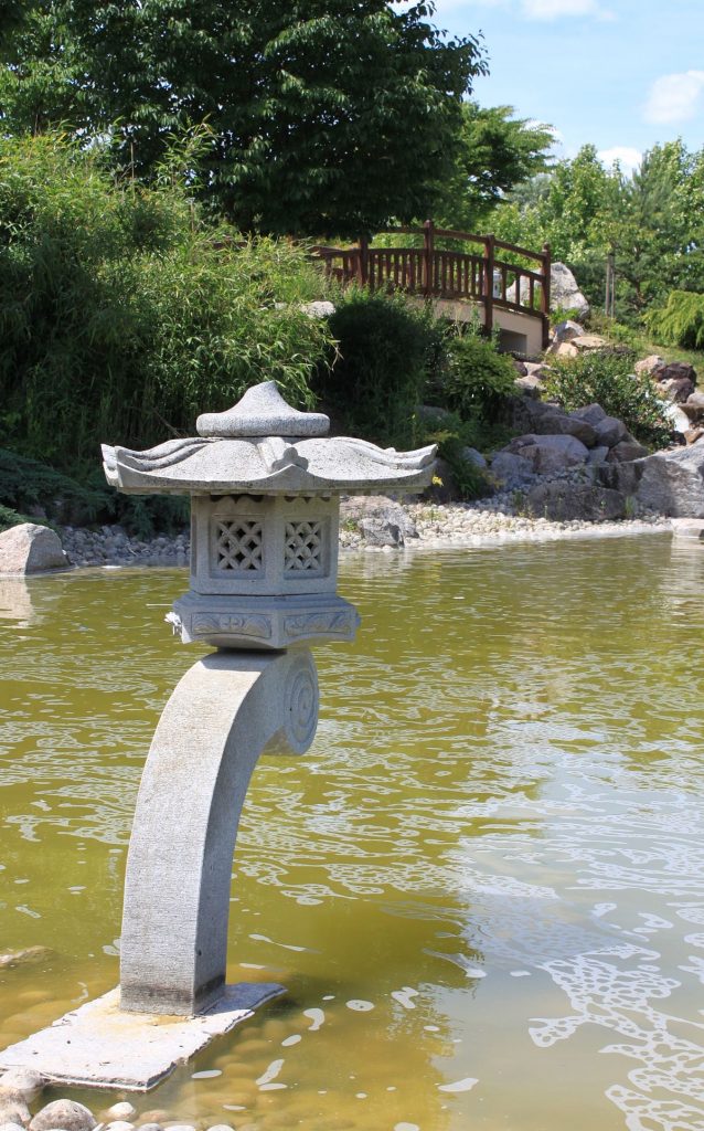 maison pour tortue de terre