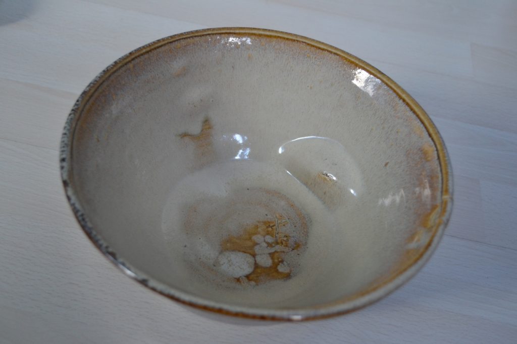 Pourquoi adopter ce serpents ?