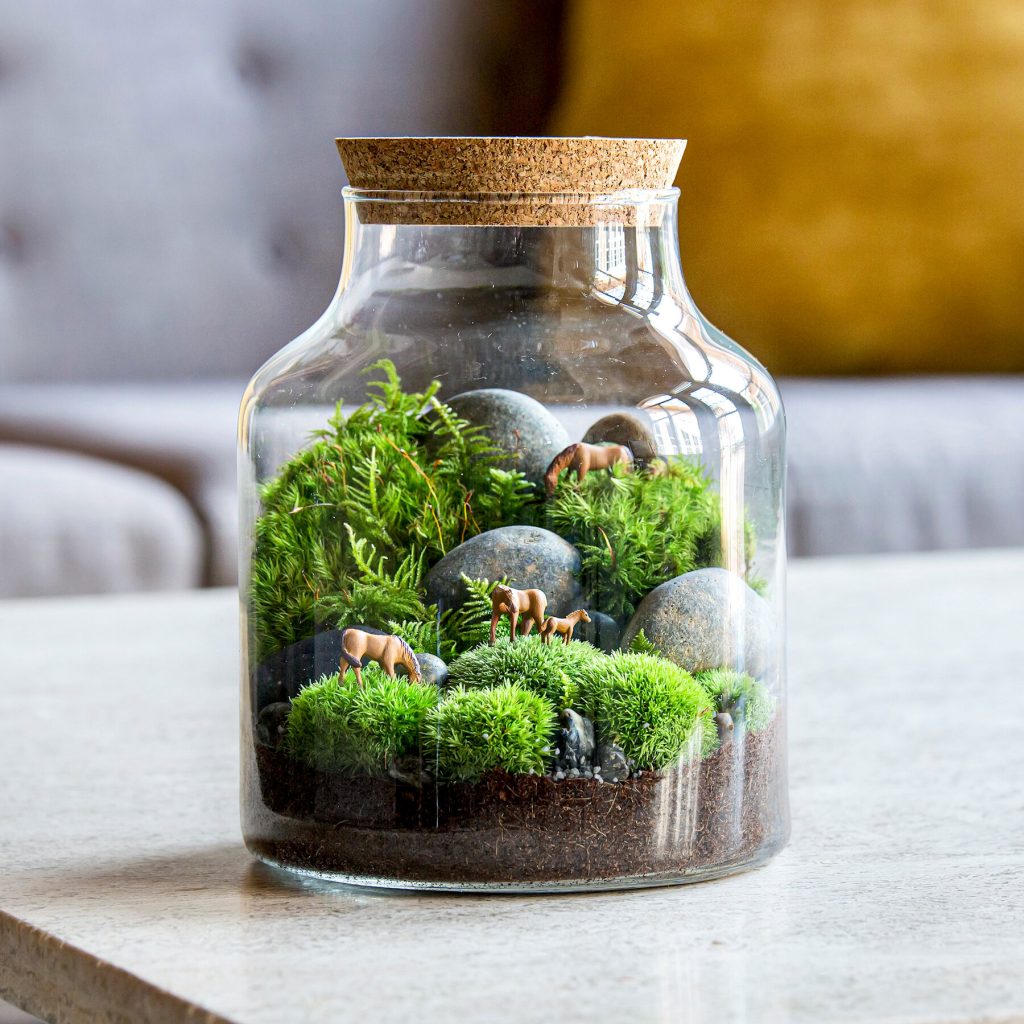 terrarium tortue d eau jardiland